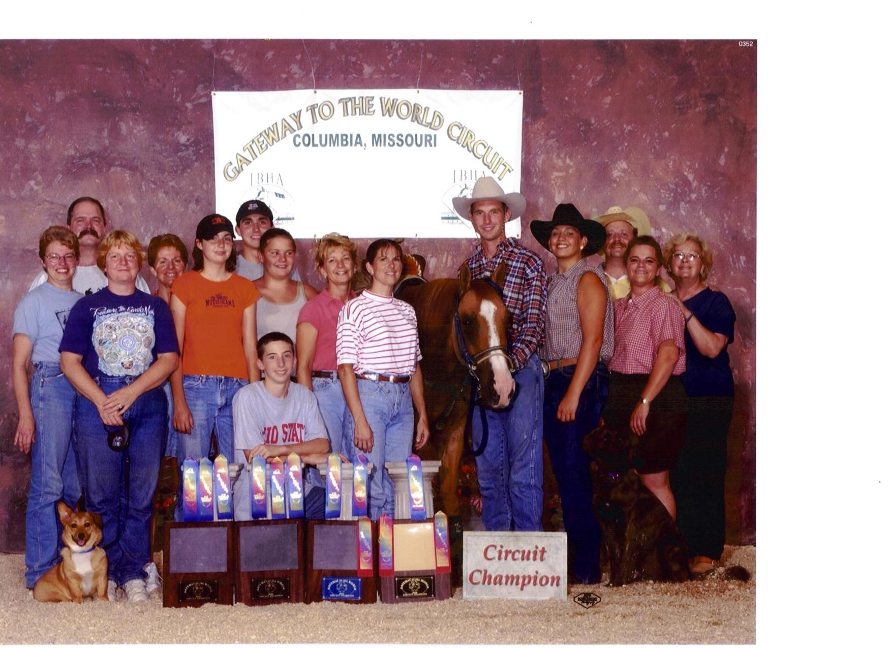 Superior Open Western Pleasure Horse!